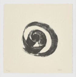 La Espiral. Naturaleza, Simbología y Cosmos, 2005, Martín Chirino