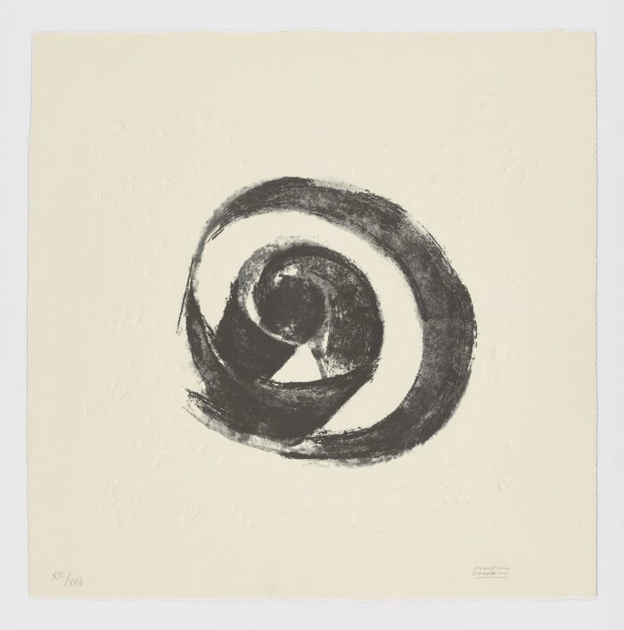 La Espiral. Naturaleza, Simbología y Cosmos, 2005, Martín Chirino