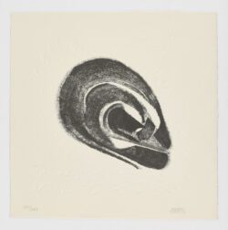 La Espiral. Naturaleza, Simbología y Cosmos, 2005, Martín Chirino