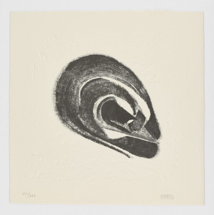 La Espiral. Naturaleza, Simbología y Cosmos, 2005, Martín Chirino
