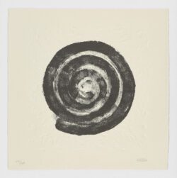 La Espiral. Naturaleza, Simbología y Cosmos, 2005, Martín Chirino