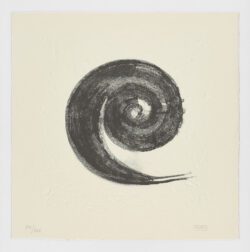 La Espiral. Naturaleza, Simbología y Cosmos, 2005, Martín Chirino