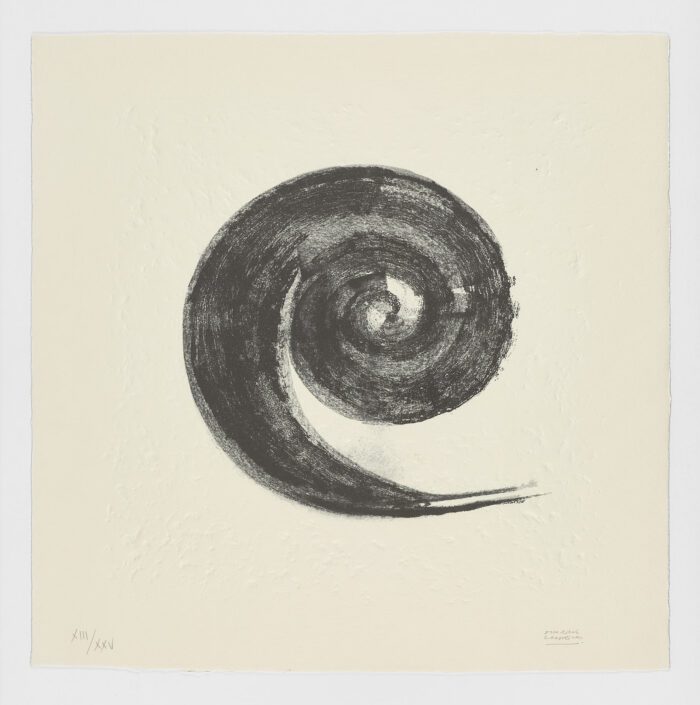 La Espiral. Naturaleza, Simbología y Cosmos, 2005, Martín Chirino