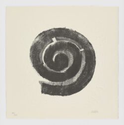 La Espiral. Naturaleza, Simbología y Cosmos, 2005, Martín Chirino