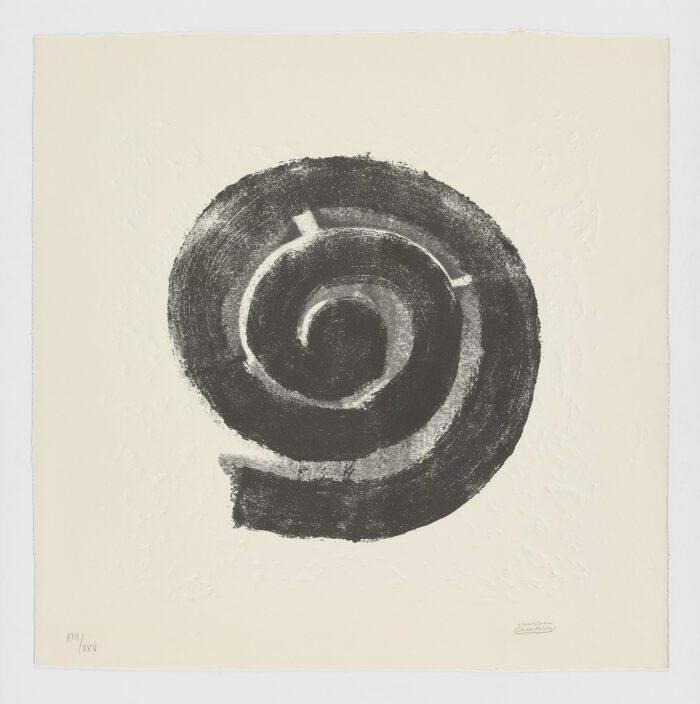 La Espiral. Naturaleza, Simbología y Cosmos, 2005, Martín Chirino