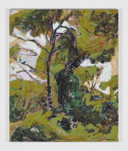 Árboles, 1962, Jorge Pedraza