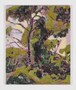 Árboles, 1962, Jorge Pedraza
