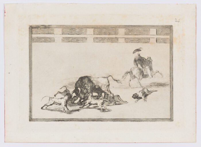 Tauromaquia. Echan perros al toro, 1814 - 1816, Francisco de Goya