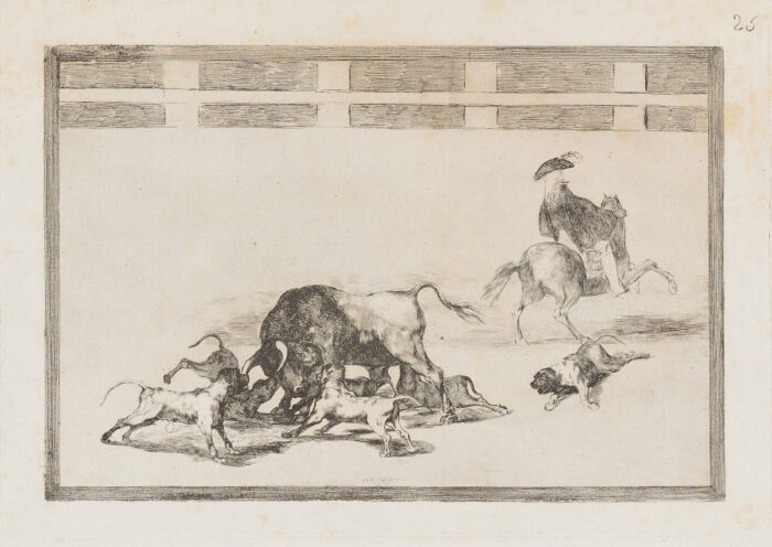 Tauromaquia. Echan perros al toro, 1814 - 1816, Francisco de Goya
