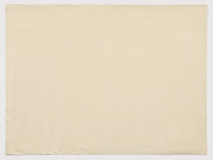 Modelo para armar I, 2003, Ana Alegría