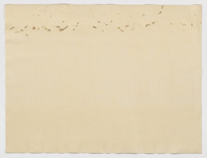 Modelo para armar II, 2003, Ana Alegría