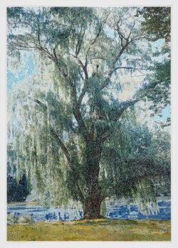AN-01 (Willow), 2005, Anthony Aziz Sammy Cucher