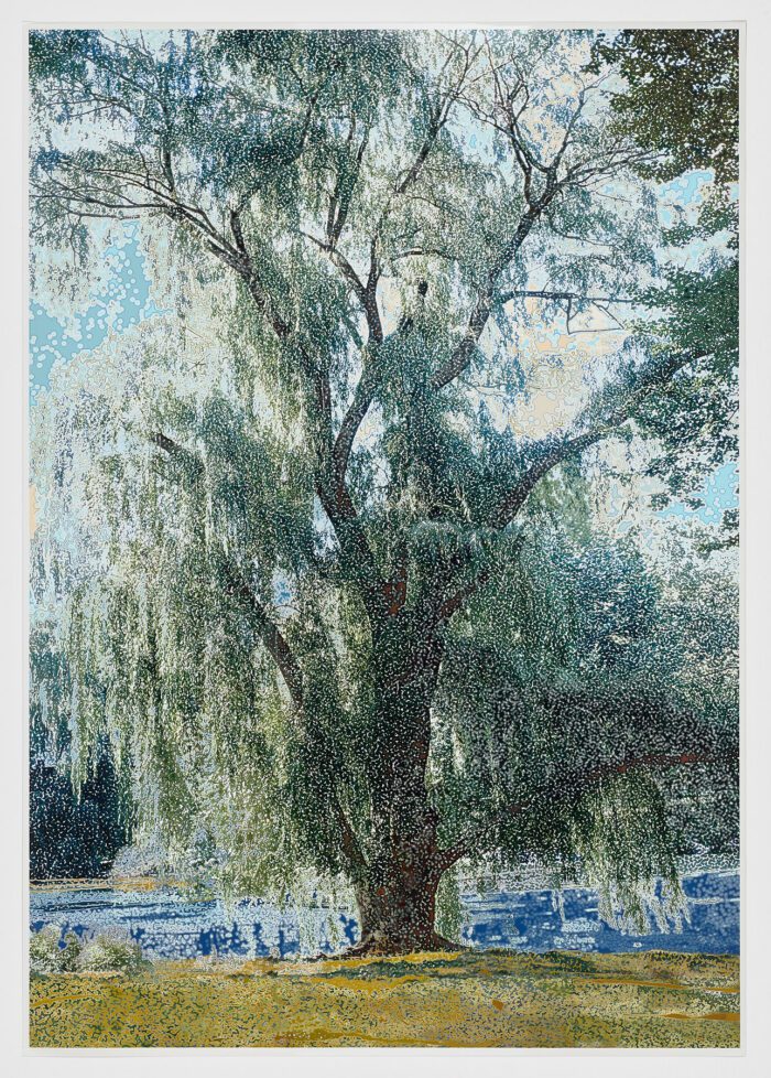 AN-01 (Willow), 2005, Anthony Aziz Sammy Cucher