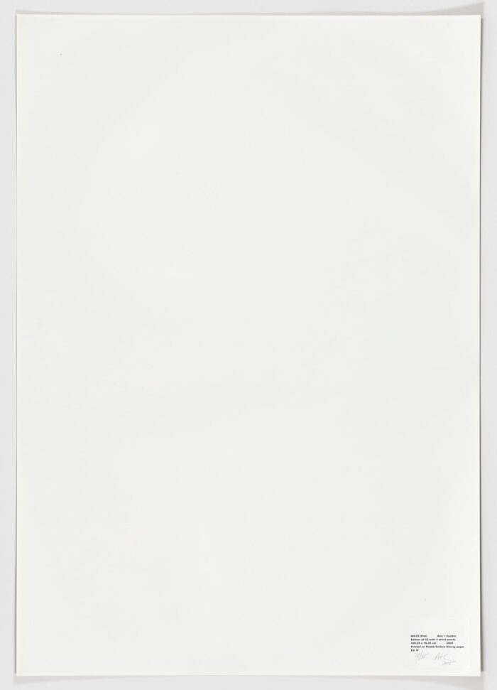 AN-03 (Elm), 2005, Anthony Aziz Sammy Cucher