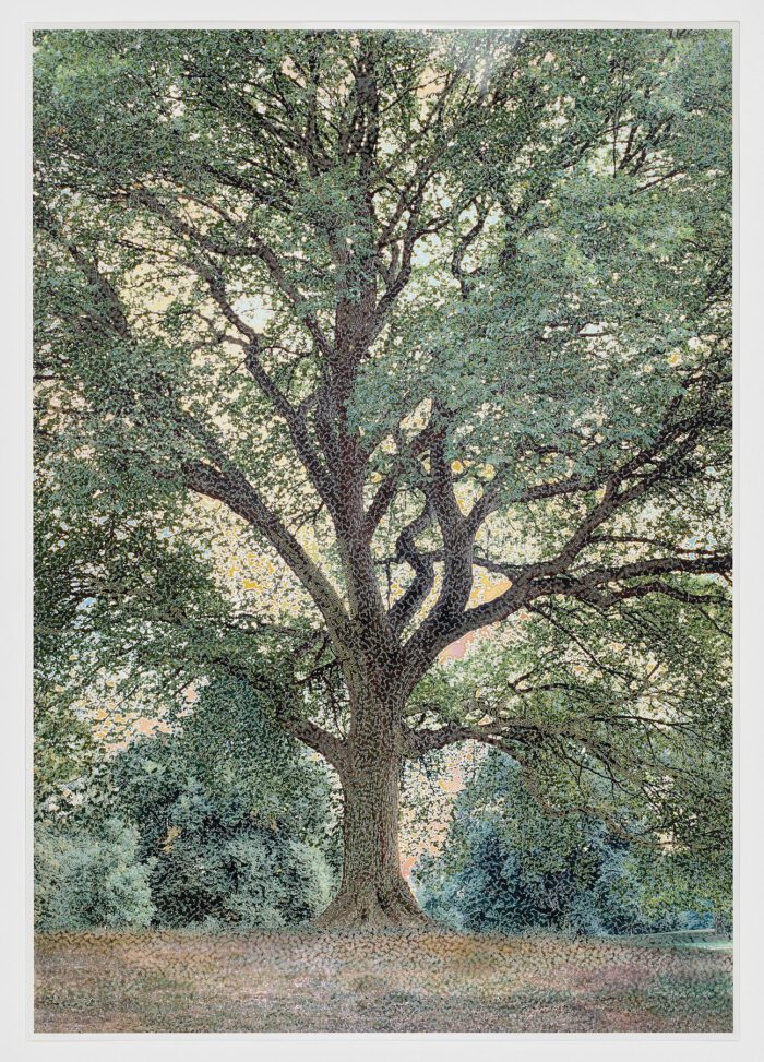 AN-02 (Oak), 2005, Anthony Aziz Sammy Cucher