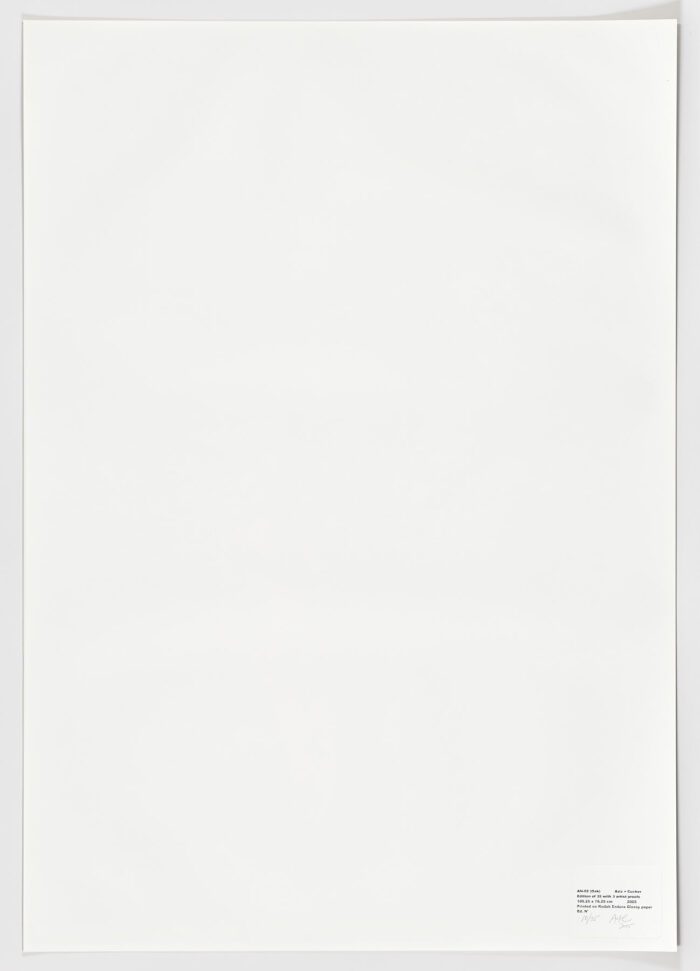AN-02 (Oak), 2005, Anthony Aziz Sammy Cucher