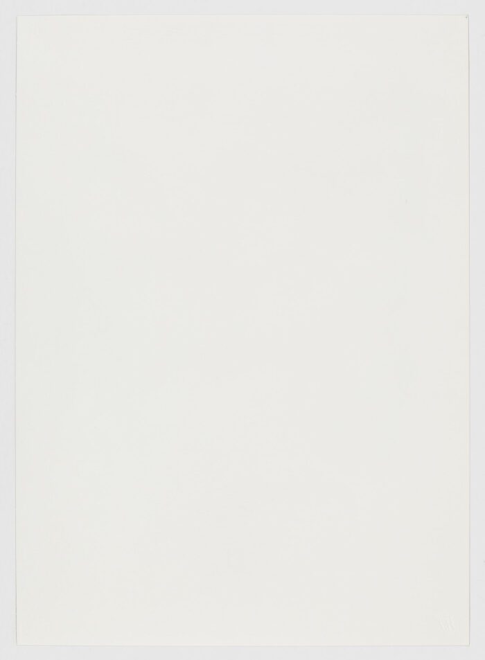 Fantasía superpuesta I, 2005, Felipe Alarcón