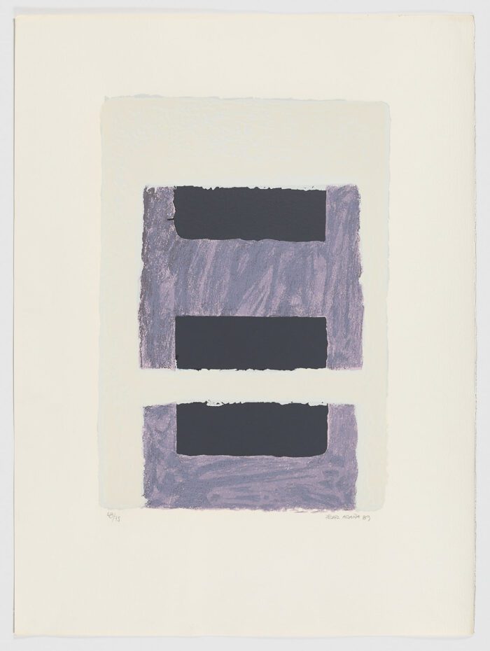S/T 1, 1989, Pilar Araña