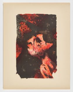 Desconocido, Ramon Llovet Miserol