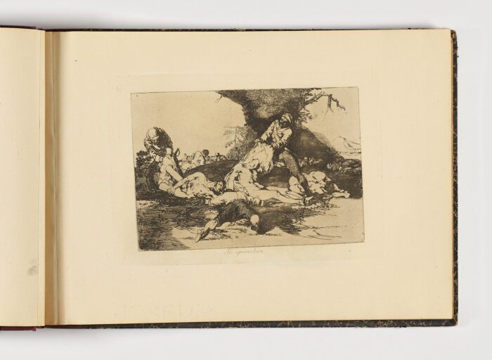 Los desastres de la guerra (5ª edición) - Imagen 19