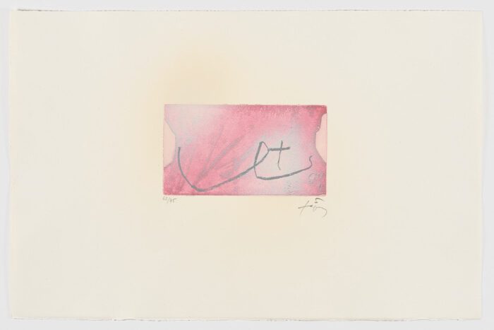 Seins, 1984, Antoni Tàpies