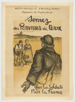 Semez des pommes de terre pour les soldats, pour la France, 1916, Hautot Georges