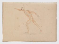 Anatomie du gladiateur combattant applicable aux beaux arts, 1812, Jean-Galbert Salvage