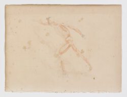 Anatomie du gladiateur combattant applicable aux beaux arts, 1812, Jean-Galbert Salvage