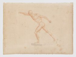 Anatomie du gladiateur combattant applicable aux beaux arts, 1812, Jean-Galbert Salvage