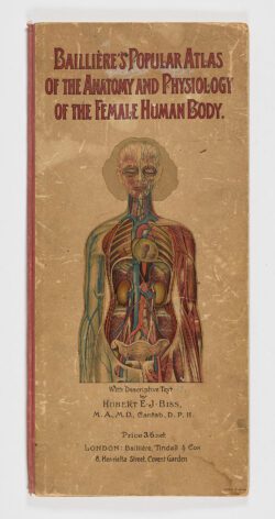 Bailliere's Popular Atlas of the Anatomy and Physiology of the Female Human Body, Hubert E.J. Biss