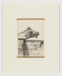 Lemur, 1994, José Hernández
