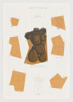 Torso, Fernando Bellver