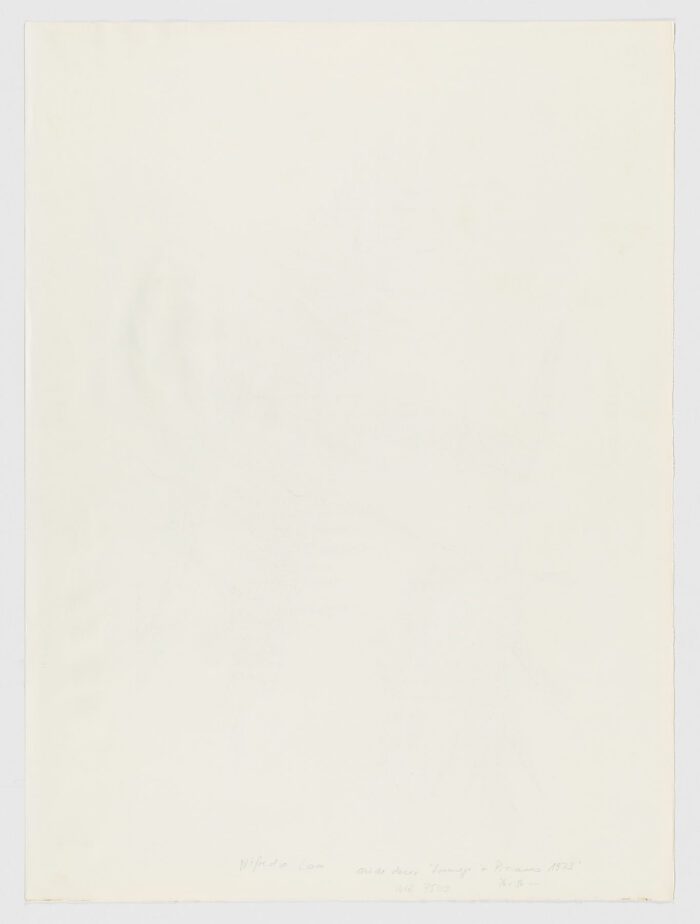 Hommage à Picasso, Wifredo Lam