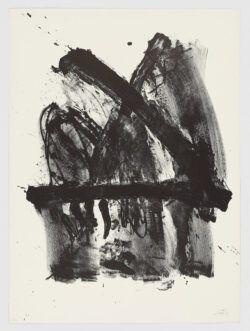 Donaueschingen, Antoni Tàpies