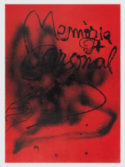 Memoria personal, Antoni Tàpies