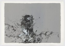 Búho blanco y negro, Jorge Castillo