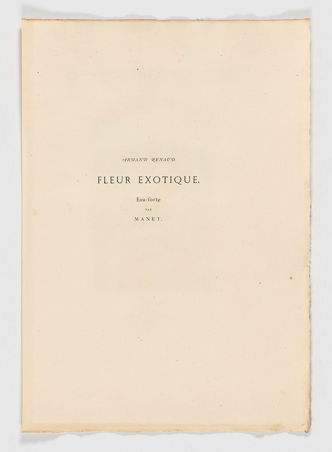 Fleur Exotique, Édouard Manet