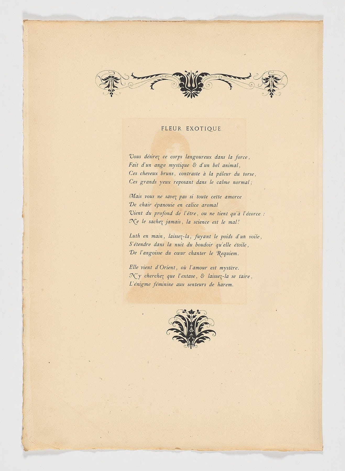 Fleur Exotique, Édouard Manet