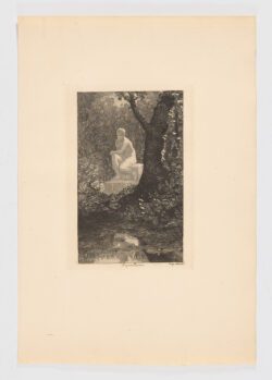 Nénuphars, Feyen-Perrin