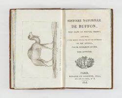 Jean-Gabriel Prêtre