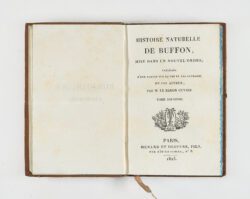 Jean-Gabriel Prêtre