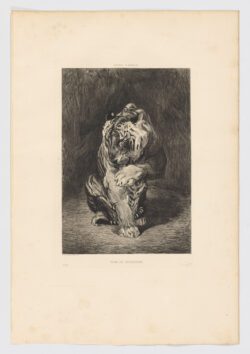 Auguste André Lançon