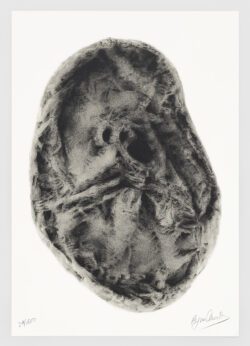 Harria, Regina Quesada