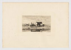 Les bords de l'Escaut