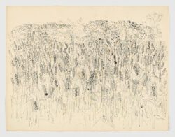 Les Blés, Raoul Dufy