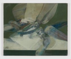 Formas flotantes, Daniel Merino