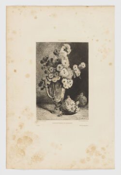 Chrysanthèmes et Grenades