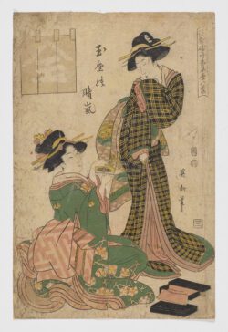 Tamaya-sei / Seiran — "Tamaya: Brisa serena"