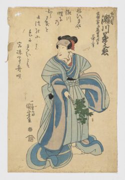 Segawa Kikunojō (瀬川菊之丞)