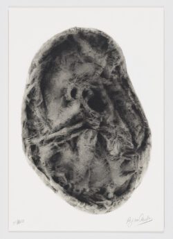 Harria, Regina Quesada